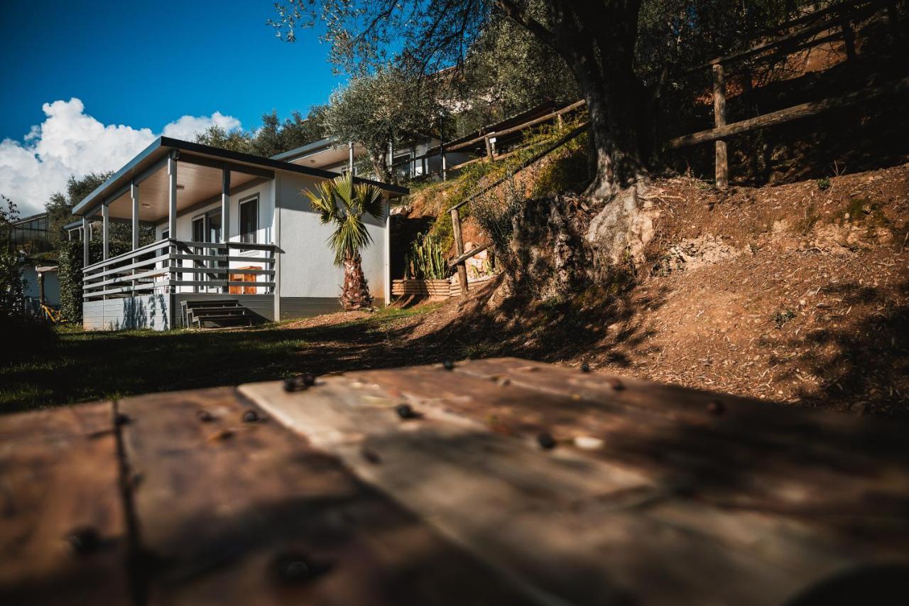 Agriturismo Rose Di Pietra Pietra Ligure Dış mekan fotoğraf