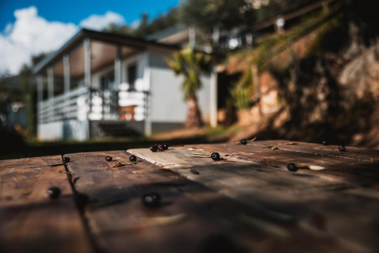 Agriturismo Rose Di Pietra Pietra Ligure Dış mekan fotoğraf