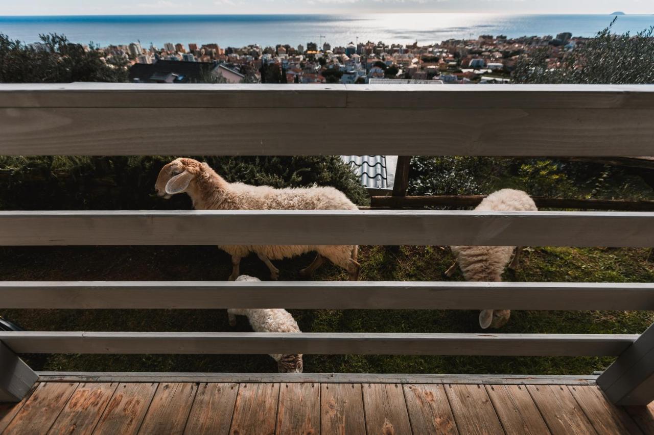 Agriturismo Rose Di Pietra Pietra Ligure Dış mekan fotoğraf