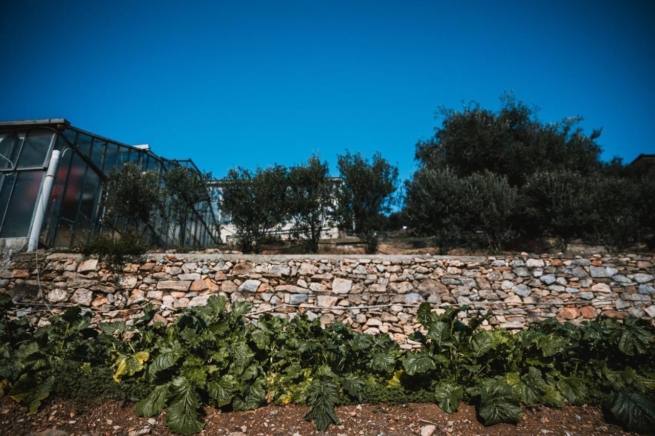 Agriturismo Rose Di Pietra Pietra Ligure Dış mekan fotoğraf