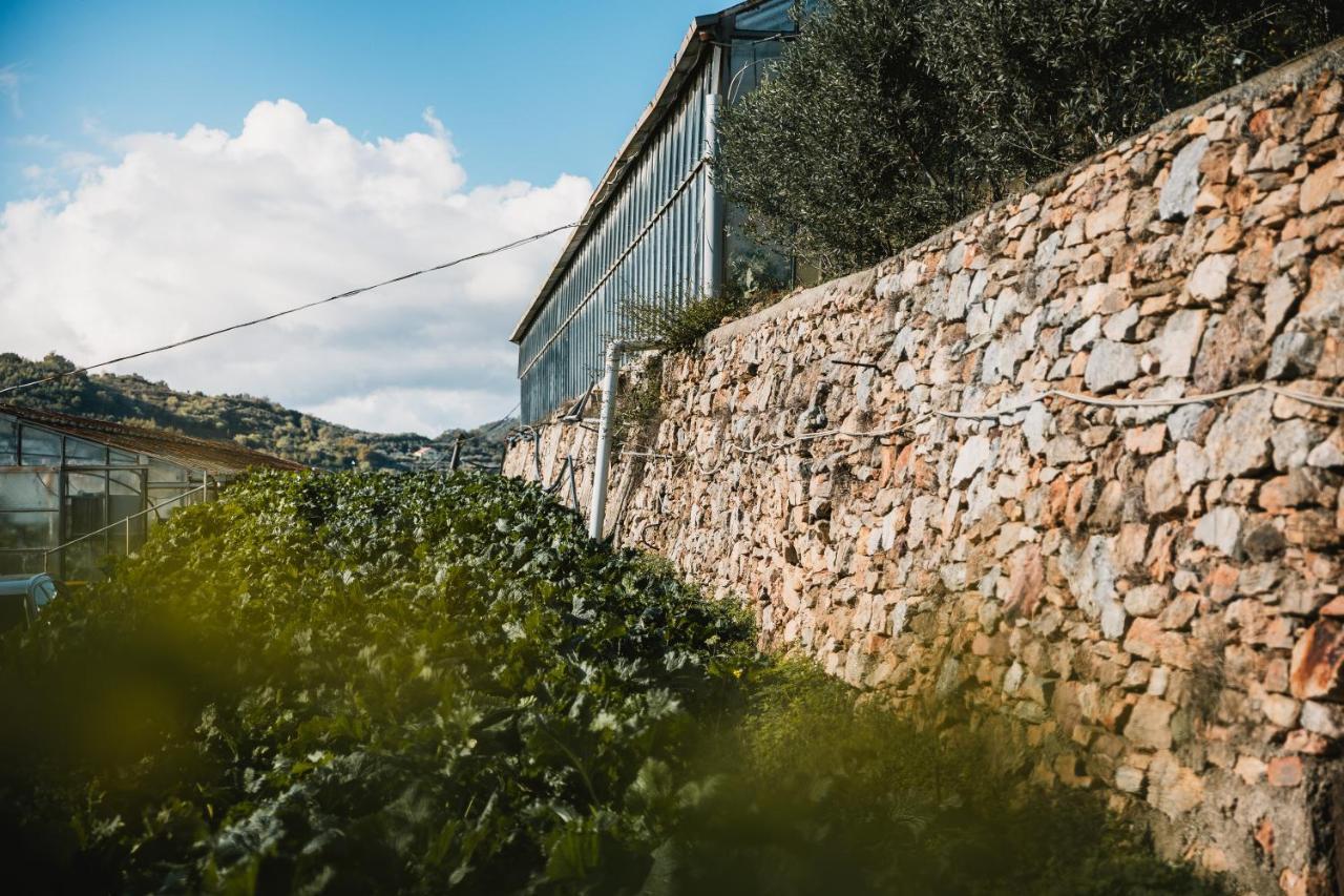 Agriturismo Rose Di Pietra Pietra Ligure Dış mekan fotoğraf