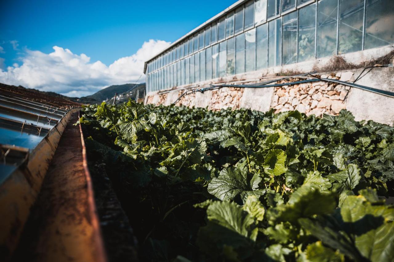 Agriturismo Rose Di Pietra Pietra Ligure Dış mekan fotoğraf